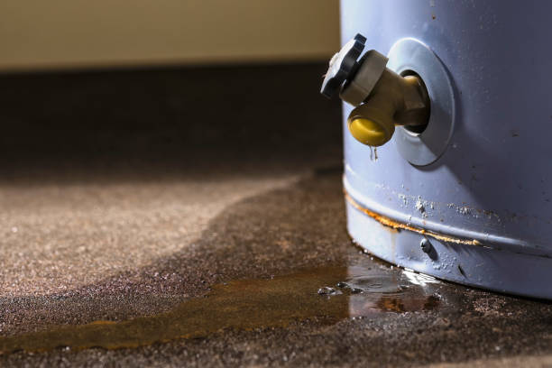 Best Mold removal after water damage  in Beech Island, SC