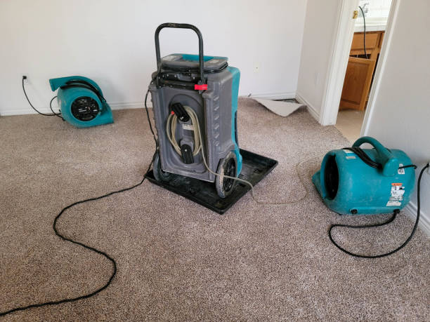 Carpet water damage restoration in Beech Island, SC