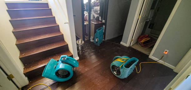 Best Water damage restoration insurance claims  in Beech Island, SC