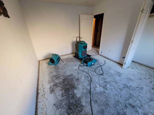 Best Professional water damage repair  in Beech Island, SC