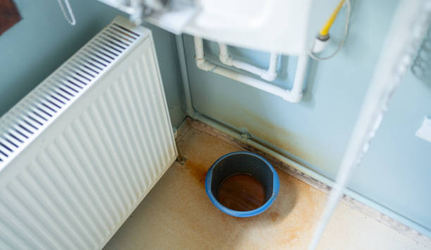 Best Water damage contractors near me  in Beech Island, SC