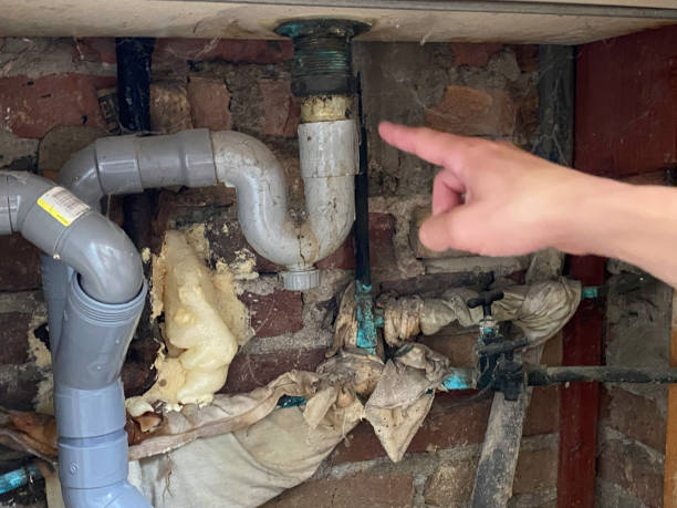 Best Ceiling water damage repair  in Beech Island, SC